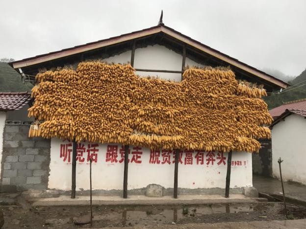 1565768547577201.jpg 1565768547577201.jpg