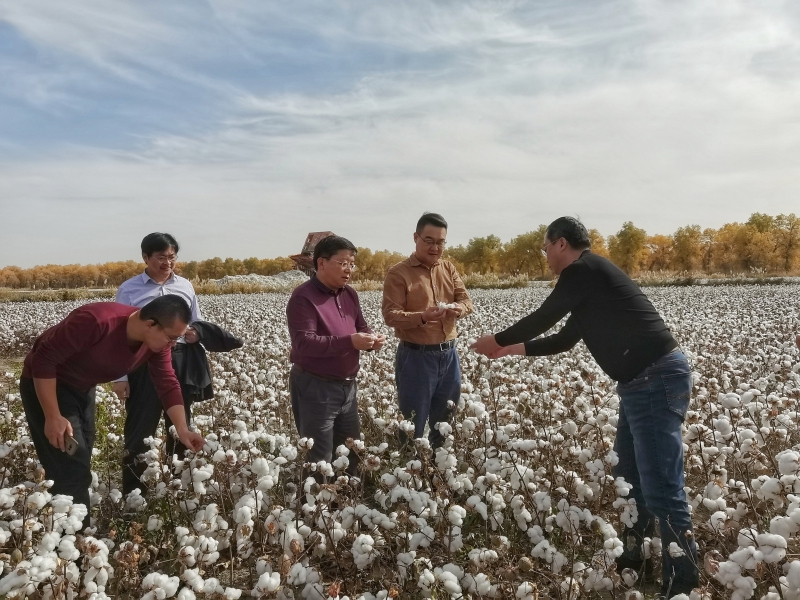 1604049514521575.jpg 图2.jpg