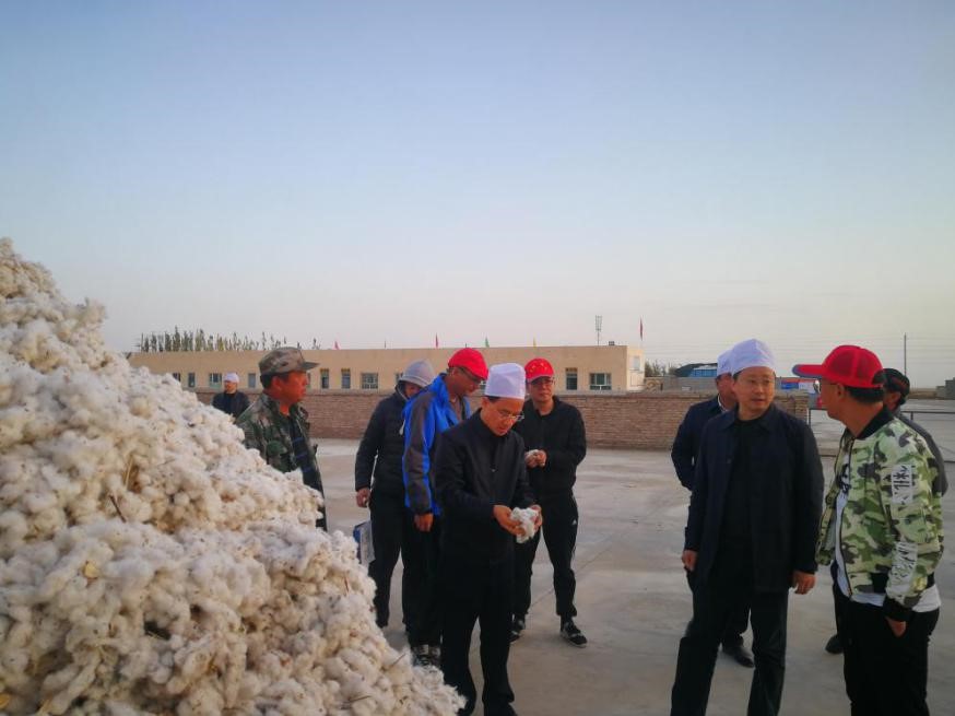 省供销社主任任晓春赴新疆调研考察