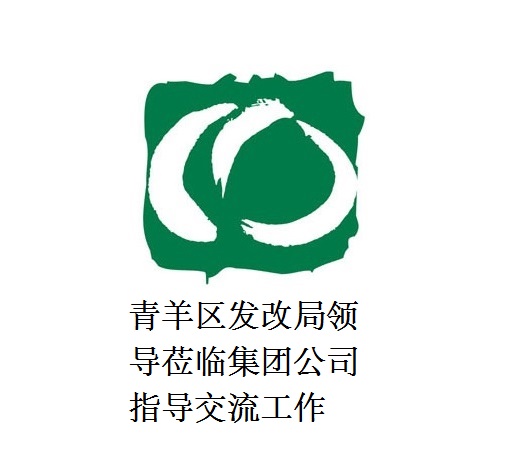 青羊区发改局领导莅临集团公司指导交流工作