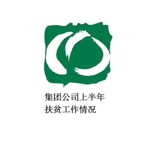 集团公司上半年扶贫工作情况
