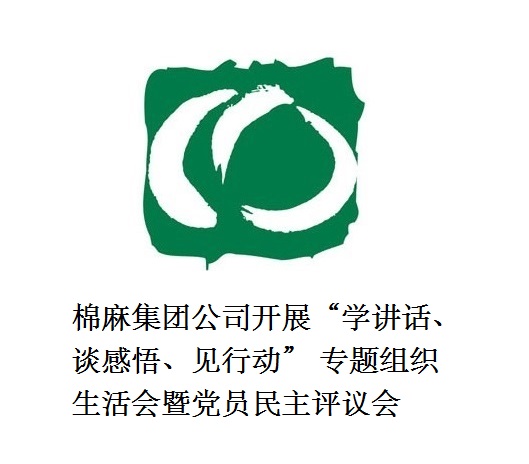 ayx爱游戏集团公司开展“学讲话、谈感悟、见行动”  专题组织生活会暨党员民主评议会