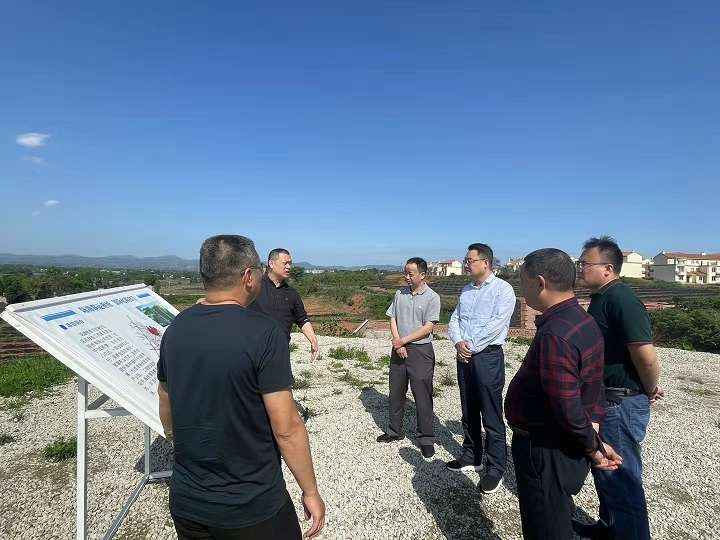 省ayx爱游戏集团：打造优质粮油制种基地